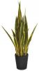 Intergard Kunstplanten Sansevieria vrouwentong 105cm bicolor online kopen
