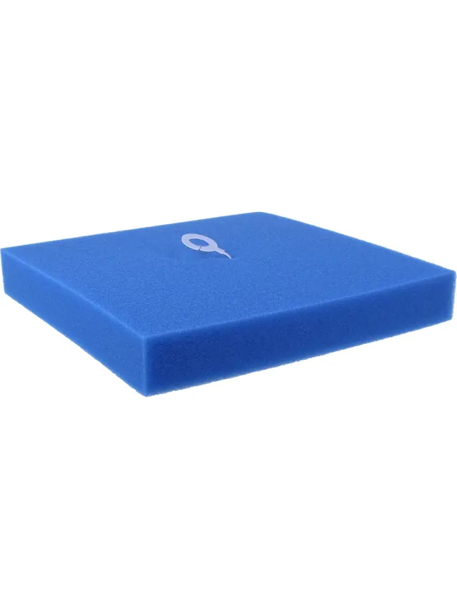Philips PowerPro Motor foam filter 432200494471 Blauw