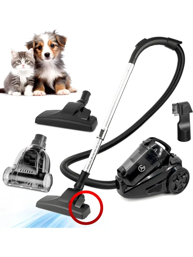 AG AG3400 Stofzuiger Zonder Zak - Stofzuigers - Vacuum Cleaner Zakloos - Geschikt Voor Dierenharen - Extra Lange Kabel - 850W - Sterke Zuigkracht - Black Edition Zwart