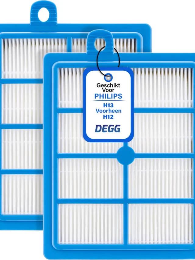 DEGG Hepa H13 Filter - Geschikt voor Philips, AEG en Electrolux - Stofzuiger Onderdelen - Vervangt FC8031 - H13 (voorheen H12) - Standaard Filter geschikt voor Philips, AEG en Electrolux - Premium Kwaliteit - 2 STUK(S) Blauw