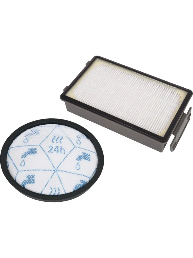 Rowenta X-Ô - Filter - Stofzuigerfilter - HEPA - Geschikt voor Allergieën - Origineel Accessoire Zwart