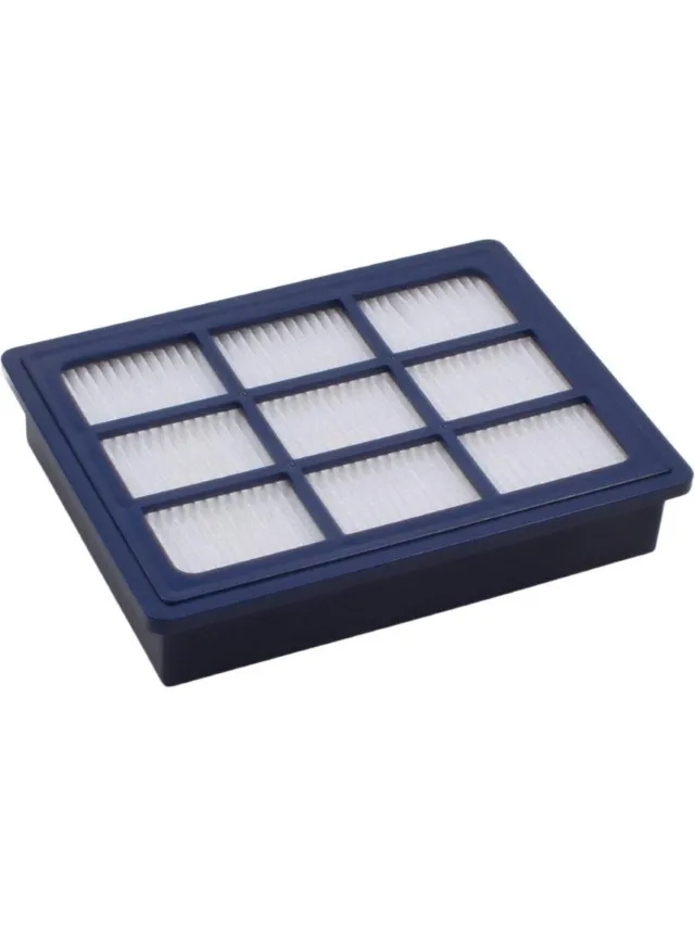 Covako Geschikt voor PHILIPS. voordeelpak 2 stuks. Hepafilters H12 voor Universe FC 9000, Specialist FC 9100, Juwel 9050-9099, Performer, FC 9000-9299. COVAKO Merk oranje