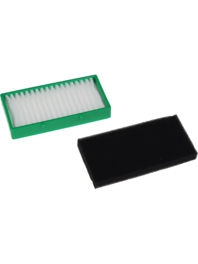 Rowenta HEPA FILTER - ZR702001 Wit