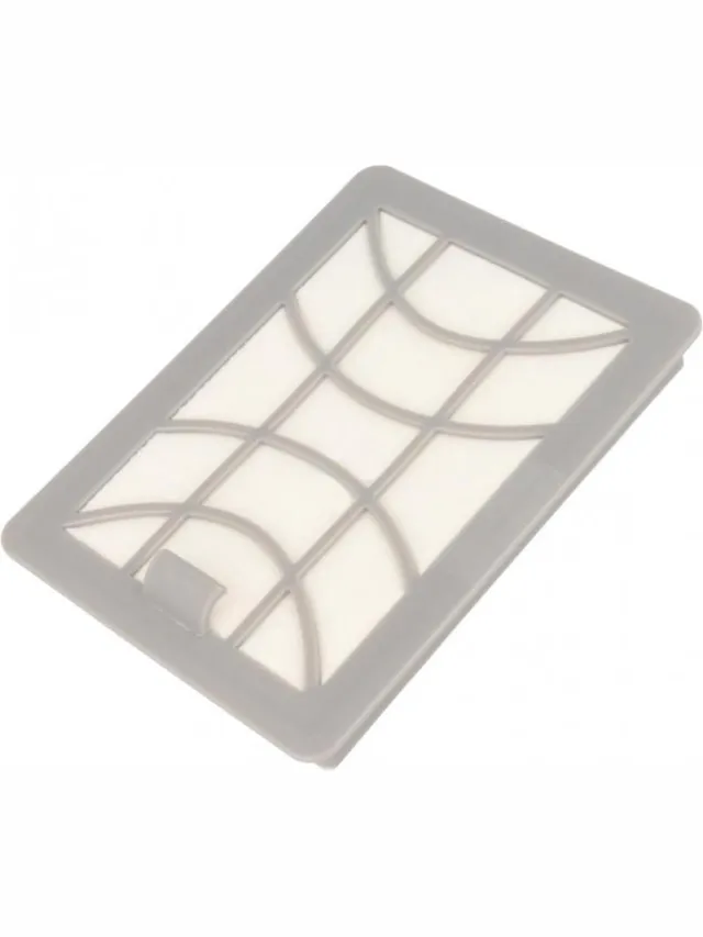 Philips Filter Clean Air FC8371, FC8374, FC8379 432200494341 wit