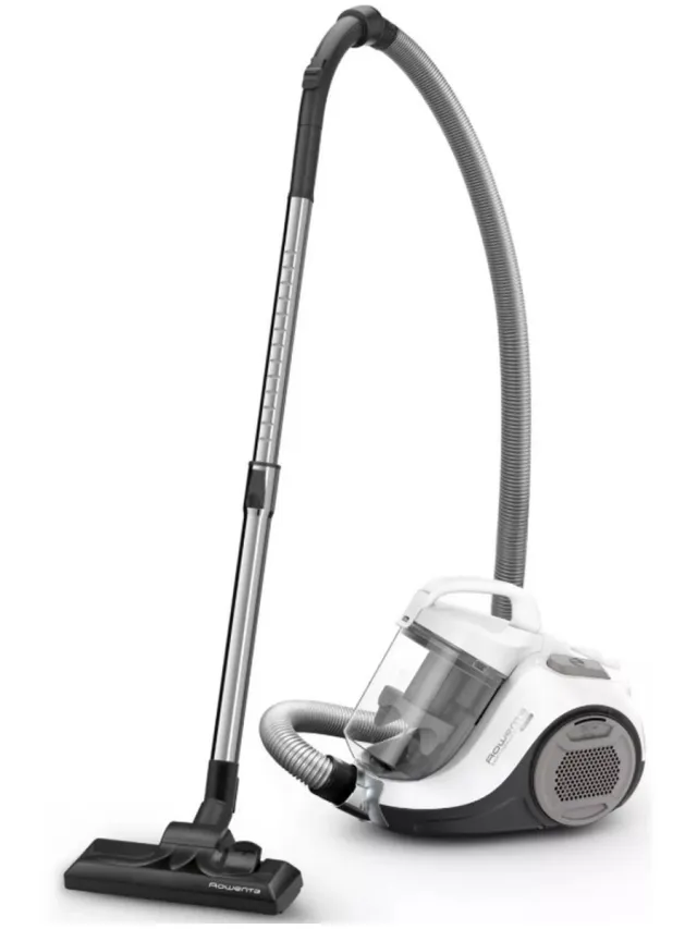 Rowenta RO2957EA Wit;Grijs