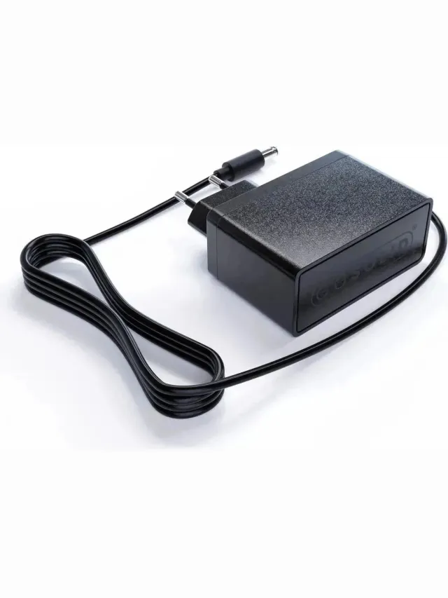 Go Solid! ® Oplader 30V geschikt voor Aiibot A17 steelstofzuiger Zwart