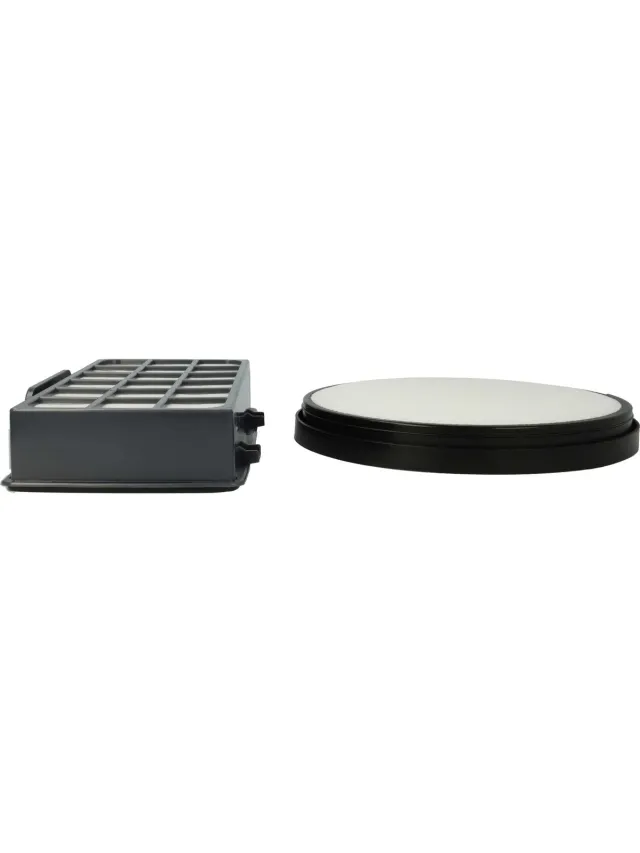 VHBW 1x voorfilter, 1x afvoerlucht-/EPA-filter, compatibel met de Rowenta X-trem Power Parkett RO6843EA, RO6850EA stofzuigers zwart