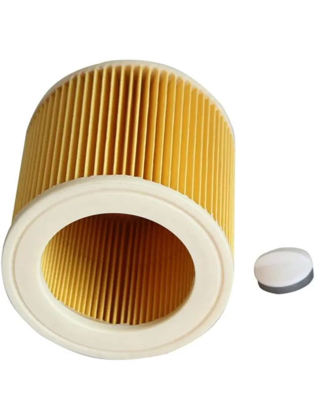 GelldG Stofzuigerfilter - Geschikt voor Karcher A2004, A2054, A2656, WD2.250, WD3.200, WD3.30 stofzuigers - Filtert stof, pollen en andere allergenen - Eén stuk geel
