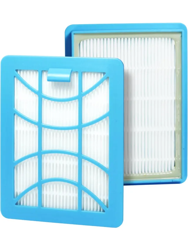 Dparts 2x Dparts hepa filter geschikt voor Philips - stofzuiger hepafilter voor Performer Compact 3000 series - allergiefilter stofzuigerfilter - nr. CP1352 CP1352/01 - 432200494411 Blauw