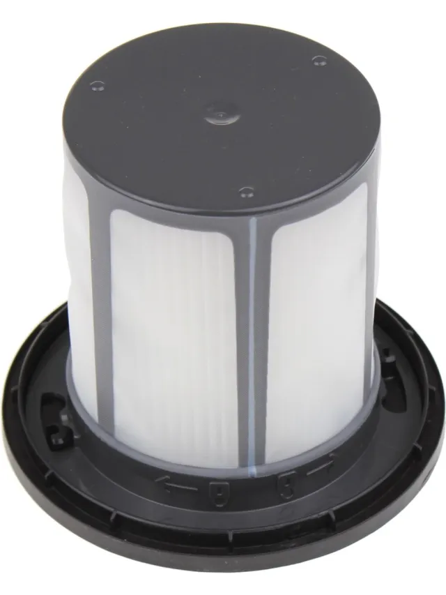 Bosch Filter voor Stofzuiger 12033216 Zwart