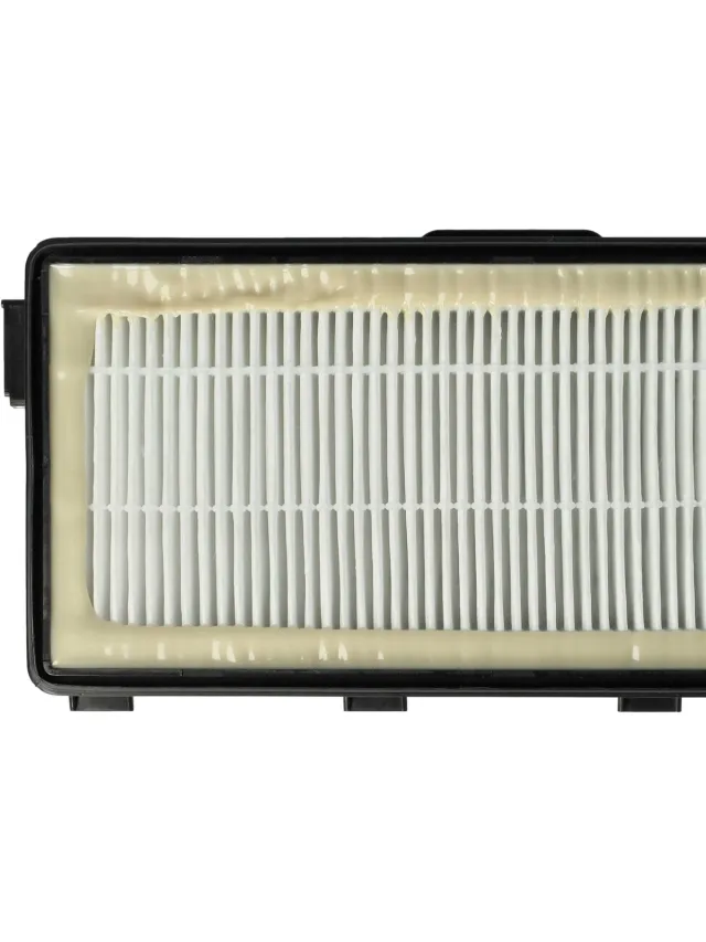 VHBW 2 stofzuigerfilters, compatibel met Miele HYGIENIC POWER, INDIGO, Indian Summer, Jazz en Green Magic stofzuigers – HEPA-uitlaatfilters, zwart en wit