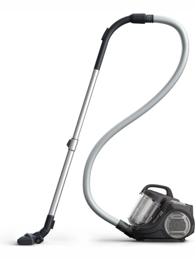 Rowenta RO2915EA stofzuiger 1,2 l Cilinderstofzuiger Droog 900 W Zakloos Zwart