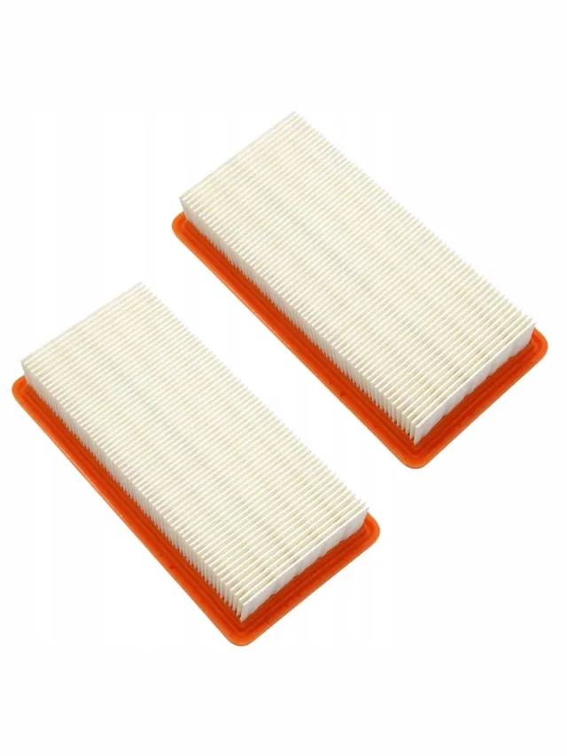 AreoSe Stofzuigerfilter voor Karcher DS 5500 5600 5800 6000 DS 6 - 2 stuks