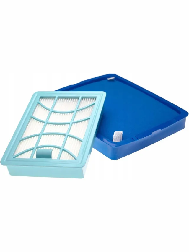 AreoSe Stofzuigerfilter voor PHILIPS PowerPro Expert FC8003/01 - 2 stuks
