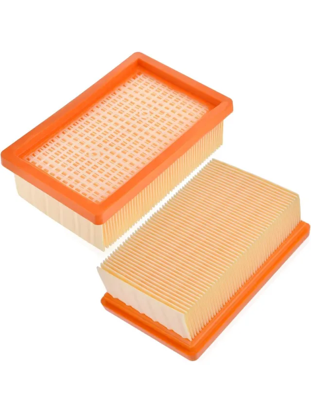 Phonillico Filter voor Karcher WD4 WD5 WD6 MV4 MV5 MV6 Vervanging stoffilters 2.863-005.0 [Pack 2] Oranje