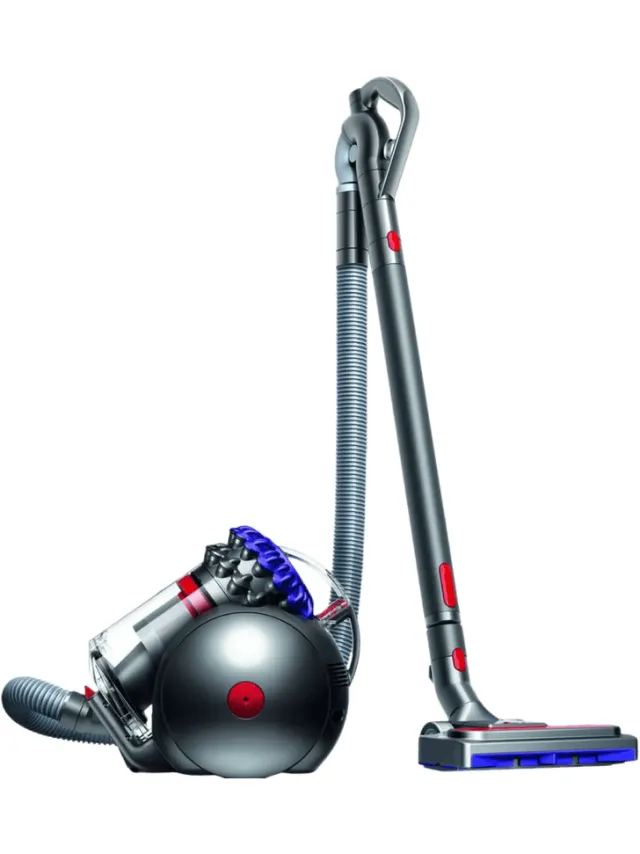 Dyson Big Ball Parquet 2
