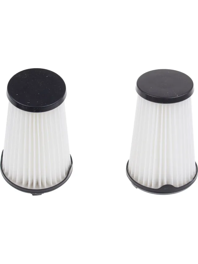 Electrolux FILTER CILINDER - AEF150 - 2 STUKS - 9001683755 Zwart