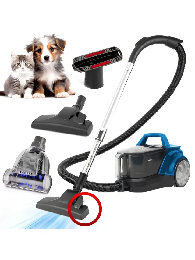 AG AG3200 Stofzuiger Zonder Zak - Stofzuigers - Vacuum Cleaner Zakloos - Geschikt Voor Dierenharen -900W - Sterke Zuigkracht - Blauw
