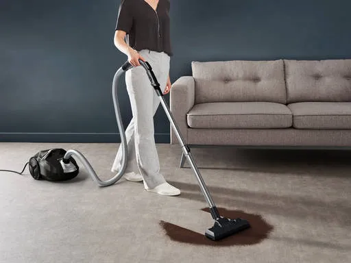 Rowenta Compact Power RO3945 stofzuiger met zak zwart, foto 8