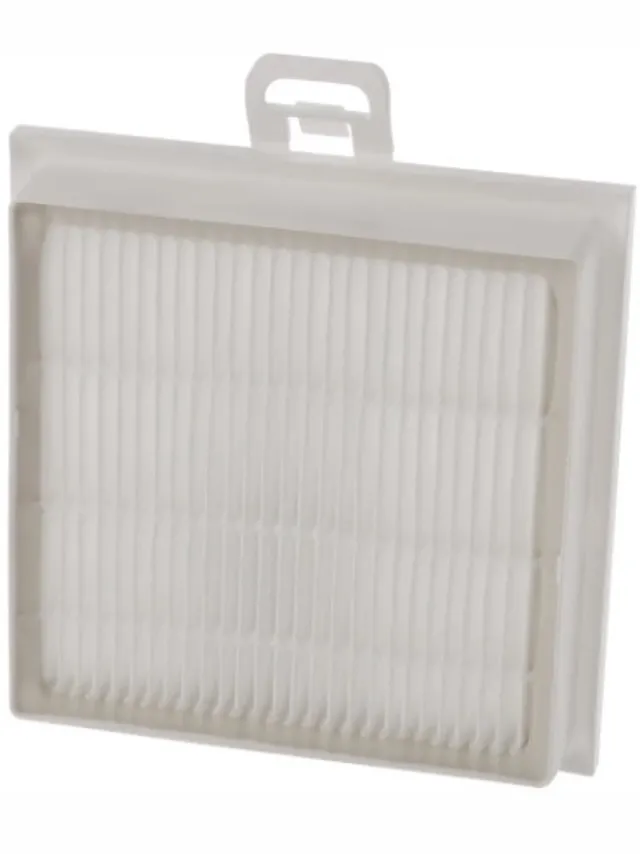 Bosch Filter Hepa filter -130x130x22mm BSG82030 00578732 zwart/wit