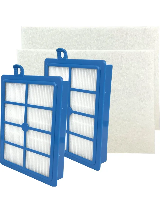 Parts4 HEPA 12 Filter (set van 2 x 2 filters) geschikt voor AEG / Electrolux / Philips | O.a. geschikt voor AEG VX6, VX7, VX8, 6000 serie, UltraSilencer serie, Electrolux UltraSilencer serie, Philips Jewel serie | Vervanger voor EFH12, FC8031, AFS1W Blauw