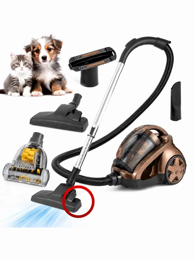 AG AG3100 Stofzuiger Zonder Zak - Stofzuigers - Vacuum Cleaner Zakloos - 8.5 Meter - 900W - Sterke Zuigkracht - HEPA Filter - Compact, Licht & Krachtig - Gemakkelijk Schoon Te Maken - Rose Bronze Edition Obsidian Red
