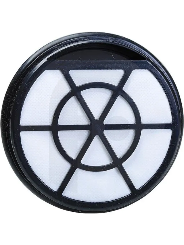 Bosch Filter voor Stofzuiger 12025213 zwart