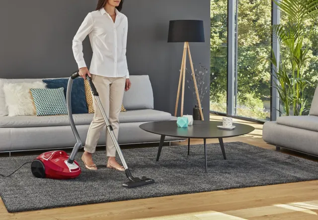 Rowenta Compact Power RO3953 - Stofzuiger met zak Rood