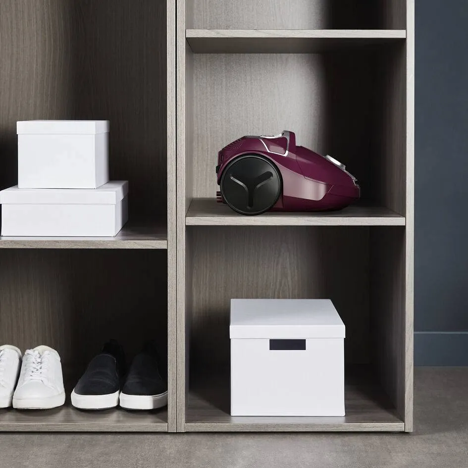 Rowenta Compact Power RO3969 stofzuiger met zak bordeaux, foto 4